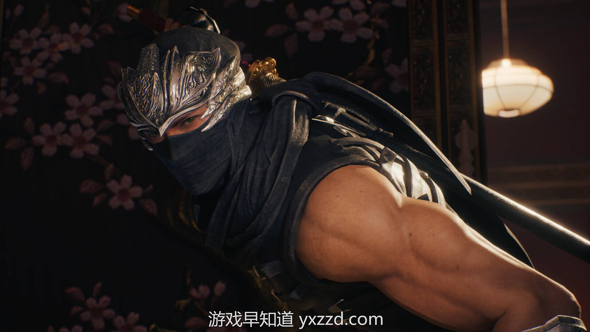 龍の忍者(龍之忍者) Yahoo!オークション - 5DVD＋1CD「龍の忍者（Ninja in the